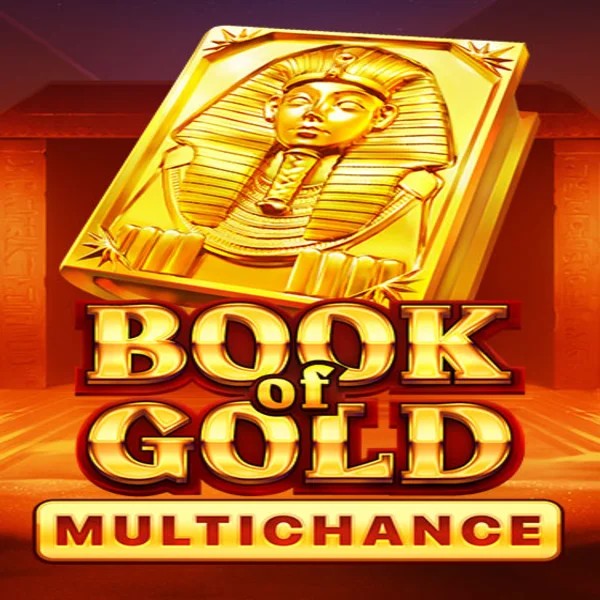 Book of Gold Multichance logo by Playson Wyns Casino