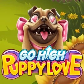 Play the Go High Puppy Love slot by RubyPlay on Wyns Casino
